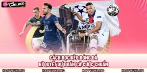 Cách Đọc Kèo Bóng Đá
